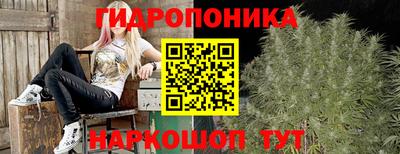 PSILOCYBIN Комсомольск-на-Амуре