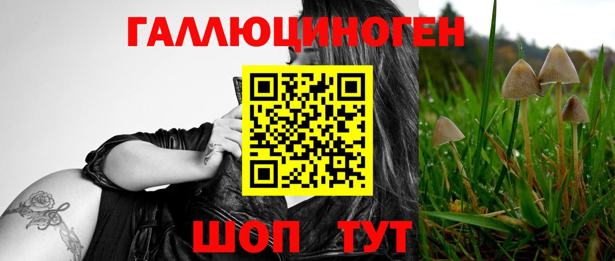 Псилоцибиновые грибы мухоморы  Вход с VPN  Псилоцибиновые грибы Psilocybe  Йошкар-Ола 